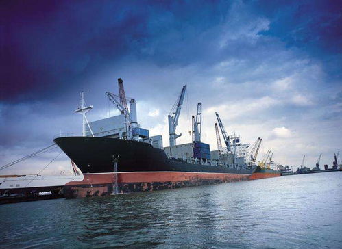 中国进口增速反弹刺激全球需求增长 上海货代 上海天鸣国际货物运输代理有限公司